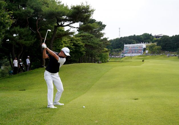 wedotv invests in sports content