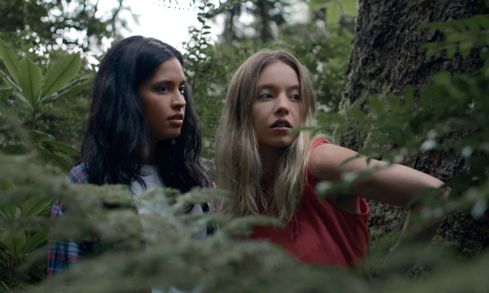 wedotv BIG stories, wedotv movies on Freeview UK